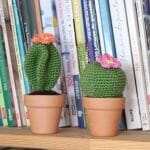 Patrón cactus amigurumi