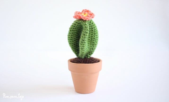 Patrón cactus amigurumi